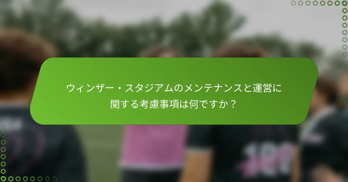 ウィンザー・スタジアムのメンテナンスと運営に関する考慮事項は何ですか？